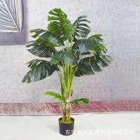 uploads/erp/collection/images/Home Garden/dgjiawang/XU0612567/img_b/XU0612567_img_b_3